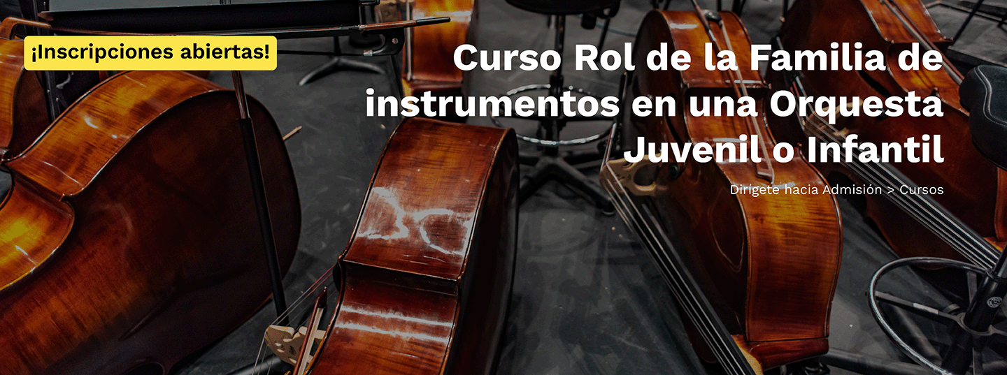 Curso Rol de la Familia de instrumentos en una Orquesta Juvenil o Infantil