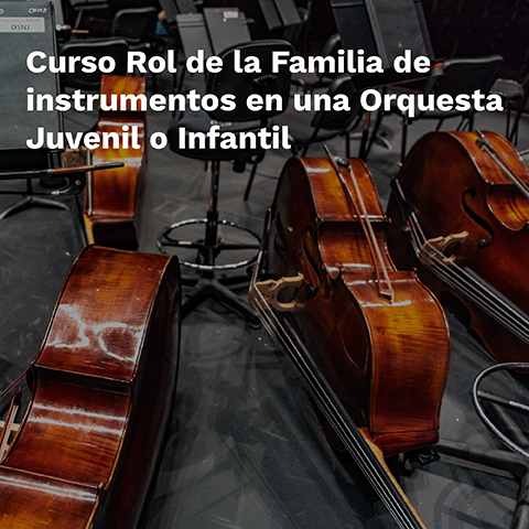 Curso Rol de la Familia de instrumentos en una Orquesta Juvenil o Infantil