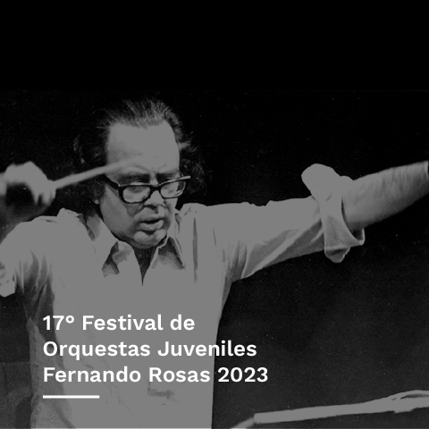 17° Festival de Orquestas Juveniles Fernando Rosas 2023  