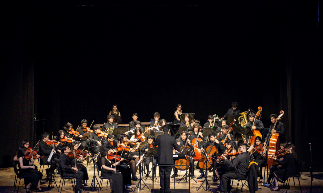 Orquesta Sinfónica Juvenil Regional de Magallanes presenta concierto gratuito en Teatro Municipal de Punta Arenas